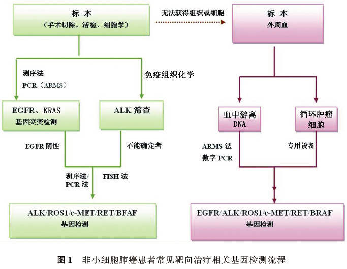 非组织性人口_权威发布 2018年,如皋市户籍人口期望寿命为81.62岁 其中女性84.(3)