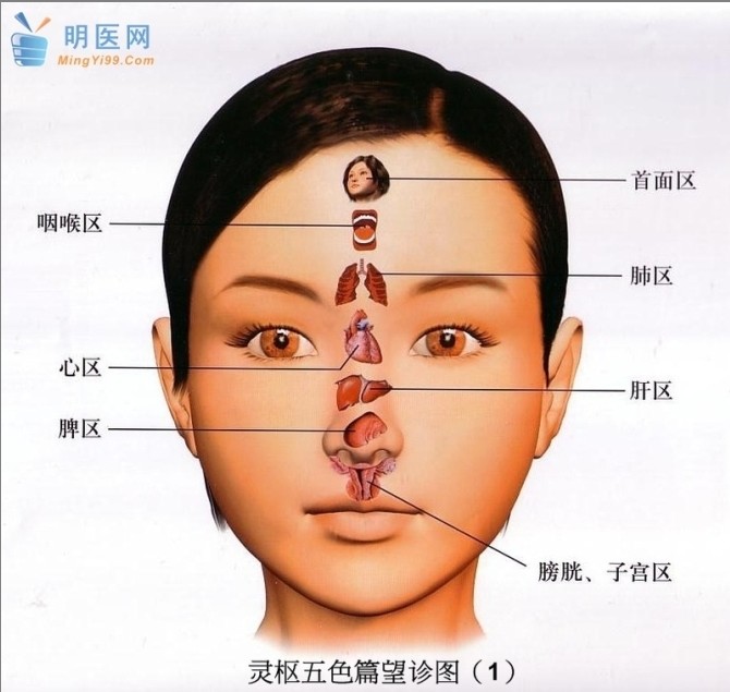 明医网