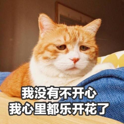 小猫爪符号