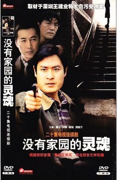 没有家园的灵魂