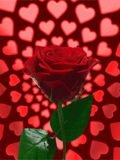 共找到关资源玫瑰花表情包约 856 个  玫瑰花qq图片_qq鲜花表情_鲜花