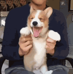 你太坏了啦!羞.