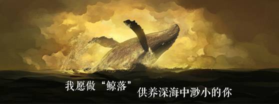 新词必会 | 我愿化身鲸落,陪伴渺小的你…