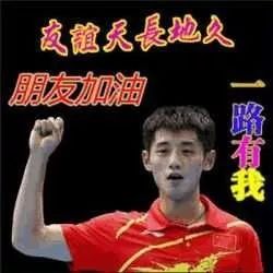 正确v老婆中老年老婆?跪下的表情包给表情图片