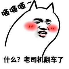 老司机翻车表情包