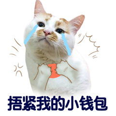 信用钱包 - 表情包搜索结果 - 表情包在线制作