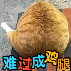 女主角系统呵气成霜