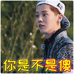 你是不是傻表情包