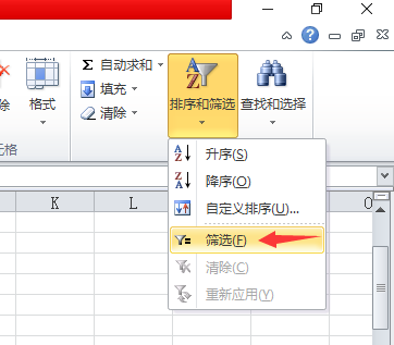 excel2007表中如何查询与筛选数据