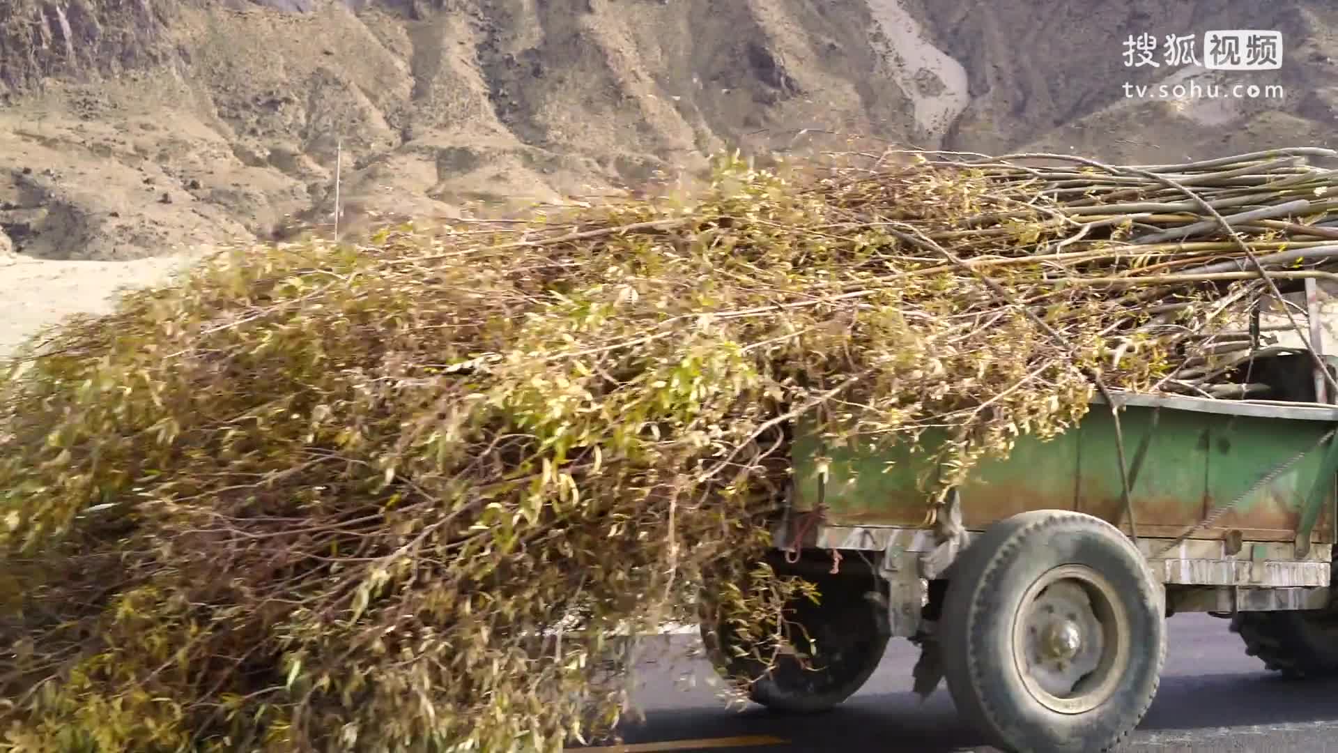 西藏朝拜之旅大片