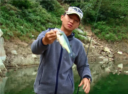 《托马斯路亚日记》-芒果TV-综艺节目全集