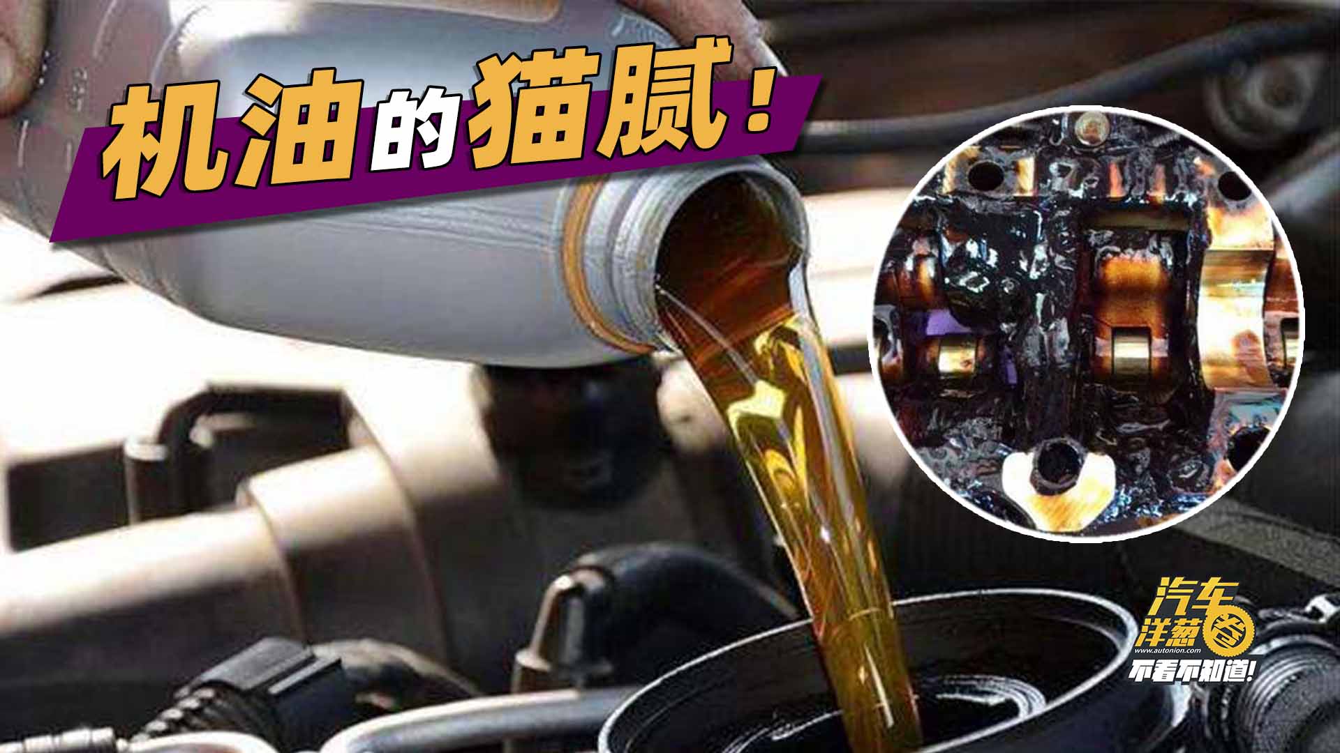 原廠機(jī)油秘密曝光，流進(jìn)你愛車?yán)锏男迈r“血液”，可能都是假的！