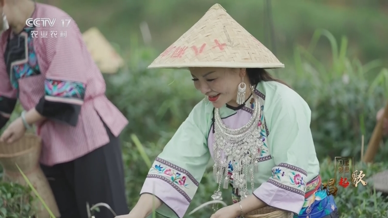 《打起锣鼓唱起歌》第一季 20230903