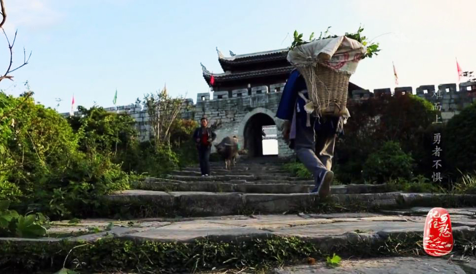 《记住乡愁》第六季 20200403 特别节目——迎难而上 勇者不惧