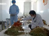 藏医药（三）