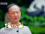 “网红”熊猫姐弟来袭