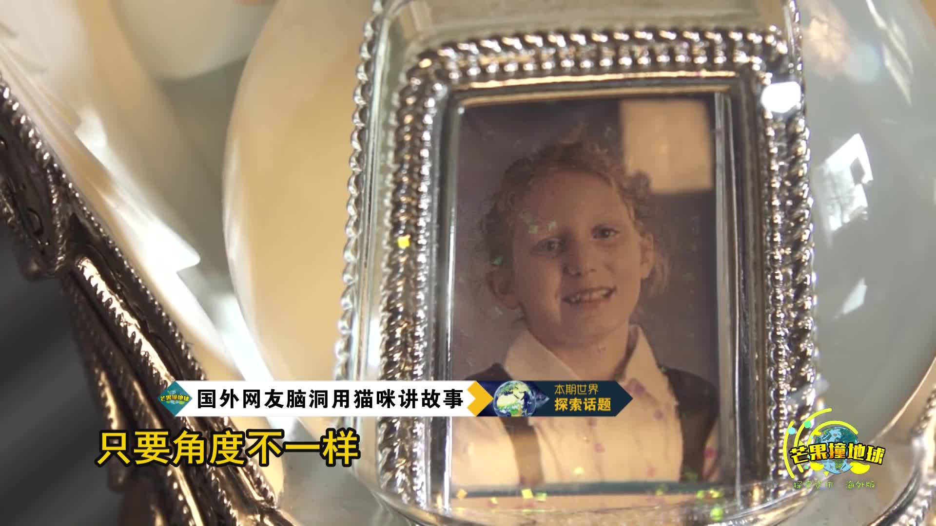 網友腦洞：救了一只流浪貓，家里莫名其妙就變得干凈了