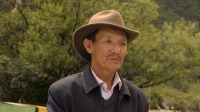 西藏的动物王国