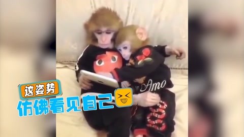 动物如何恶搞人类