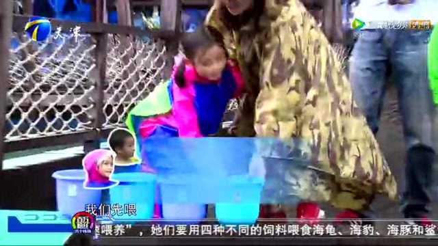 独播：阿Sa赞叹朱丹：女汉子！太厉害！ 超级怪鱼吓疯朱丹阿Sa