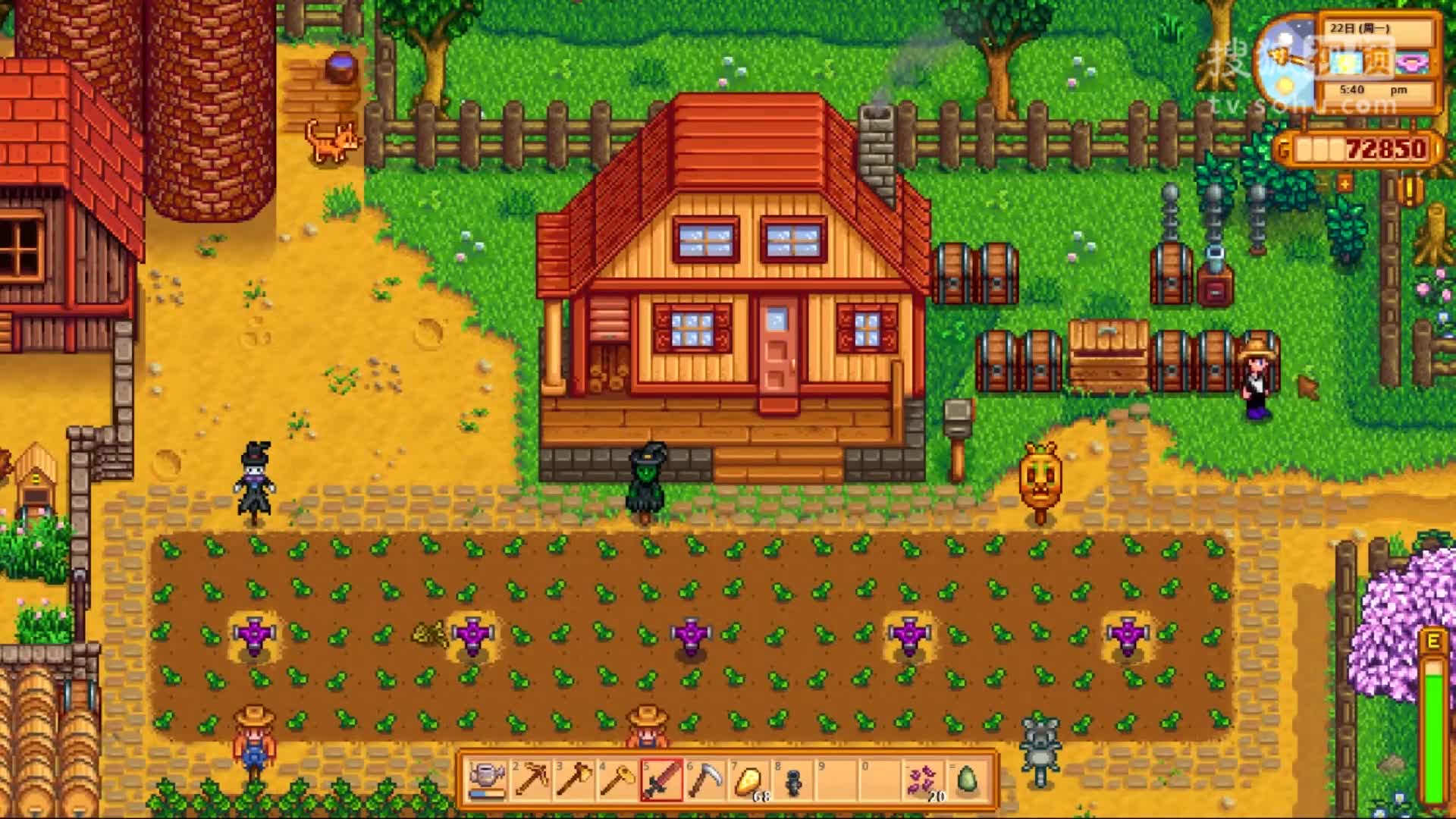 星露谷物语stardewvalley