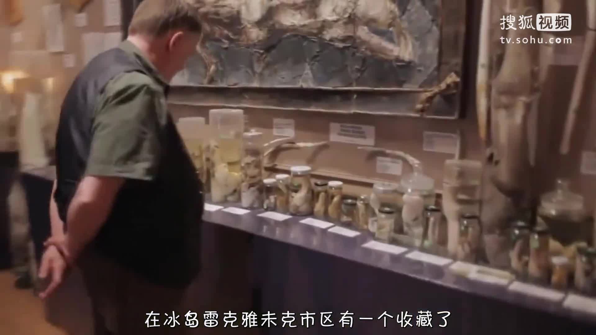 【独播】惊奇世界第九十集:冰岛丁丁博物馆