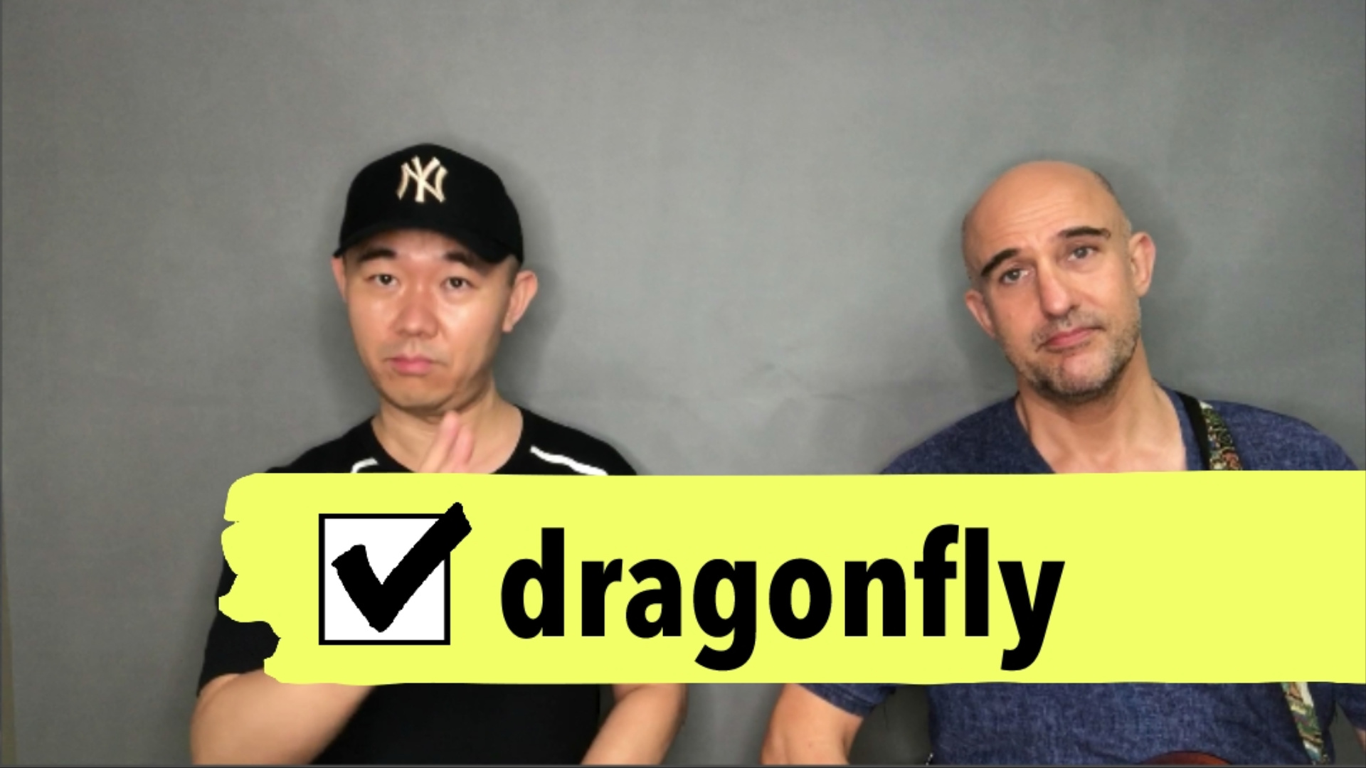 学习英语的视频 - 英语学习的视频 dragonfly