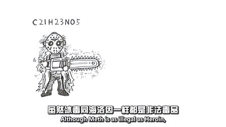 揭秘冰毒成瘾真相 26