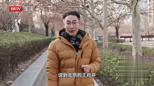 志强终成凌云木——精进不休妙手天工