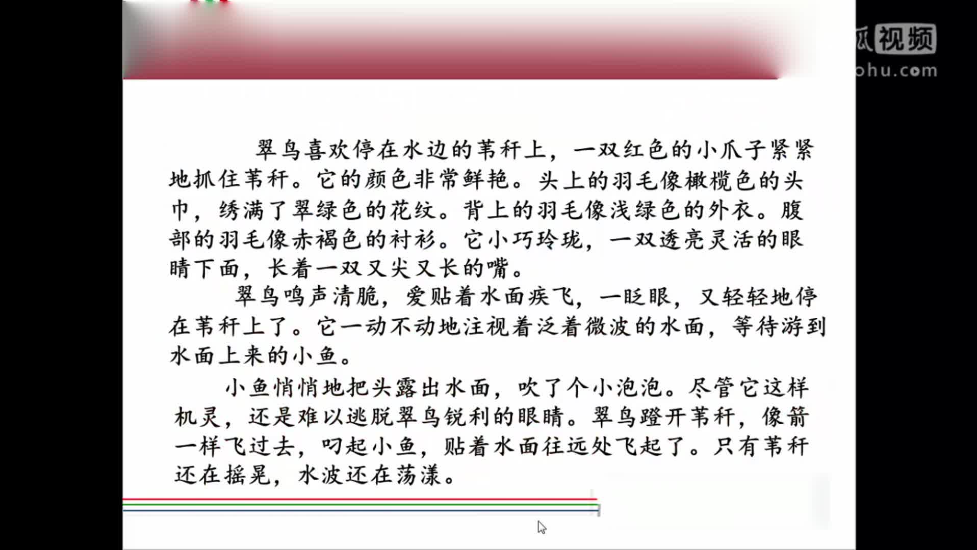 小学语文 小升初作文满分教程之动静结合【小升初语文微课】_clip