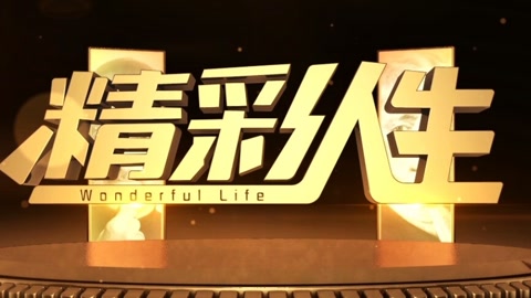 精彩人生 独家记忆