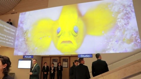达沃斯野生动物摄影展 用自然之美呼吁可持续发展