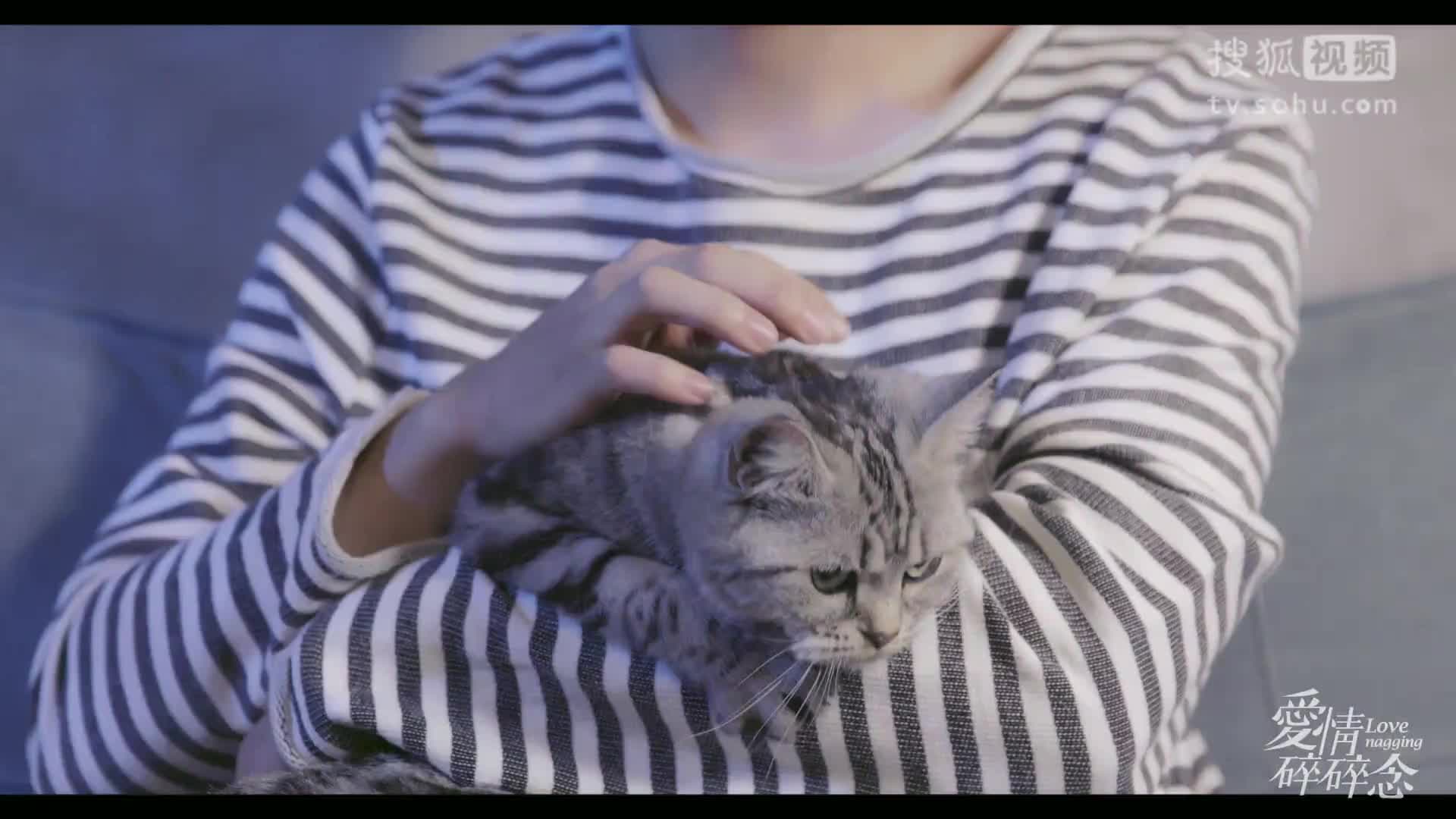 爱情碎碎念08 爱上工作狂怎么办？