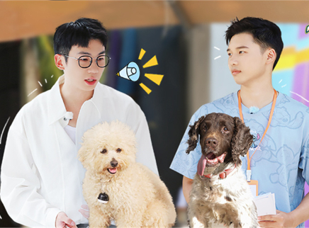 第7期：小白為毛孩子找新家