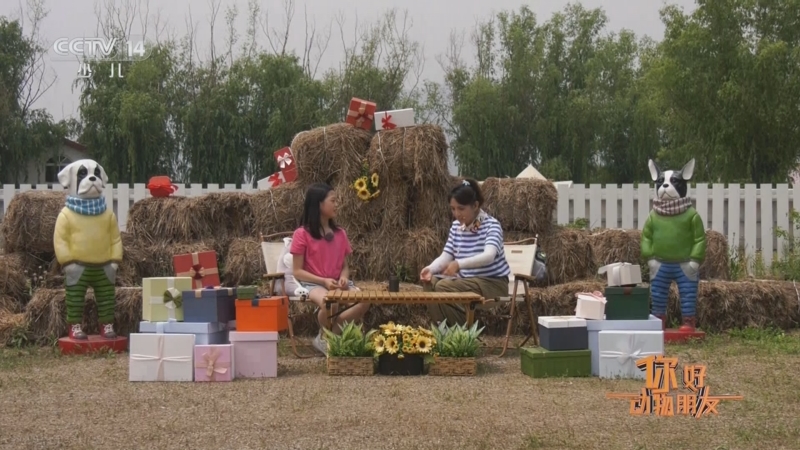 《智力快車》 20240521 你好 動物朋友