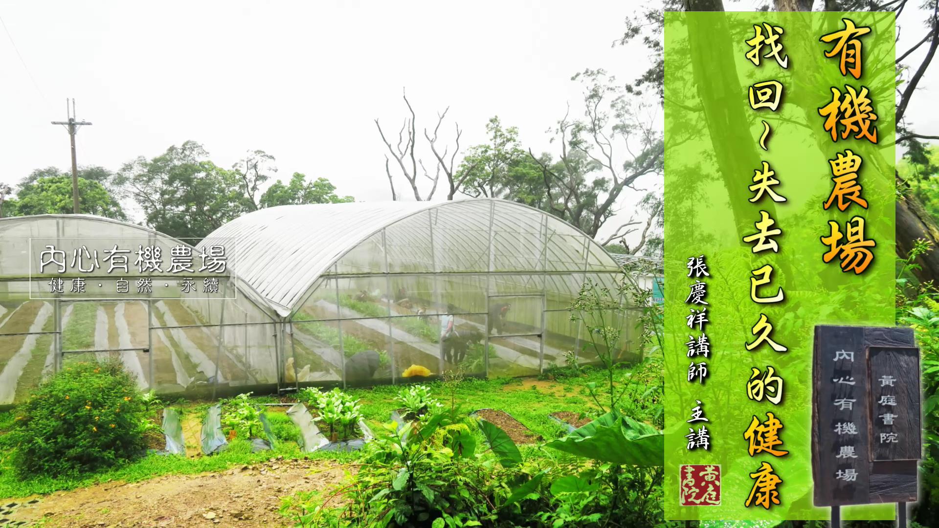 【黄庭禅】特辑-有机农场，找回~失去已久的健康