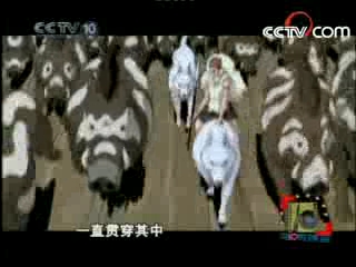 第10放映室 2008年 第18期