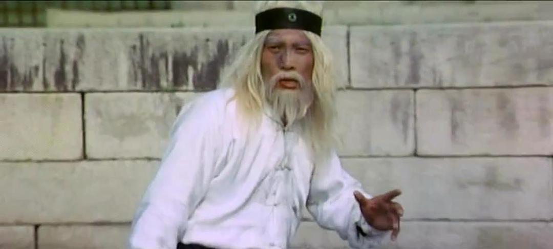 《新南拳北腿》-高清电影