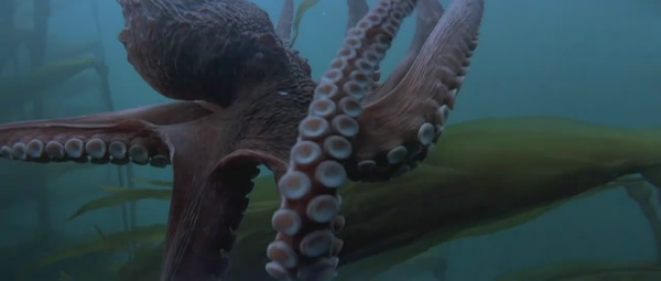 《亚特兰蒂斯》-高清电影-在线观看-搜狗影视