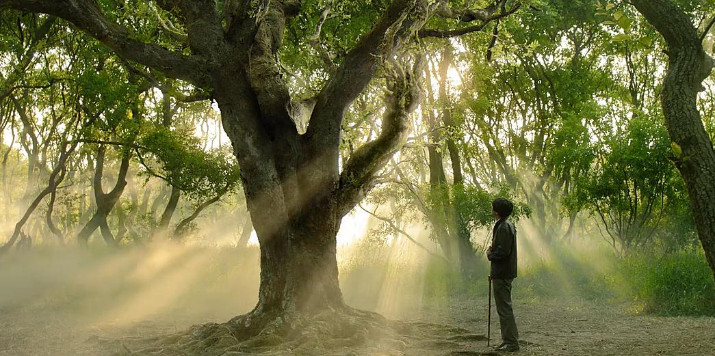 《琉璃庭院》-高清电影