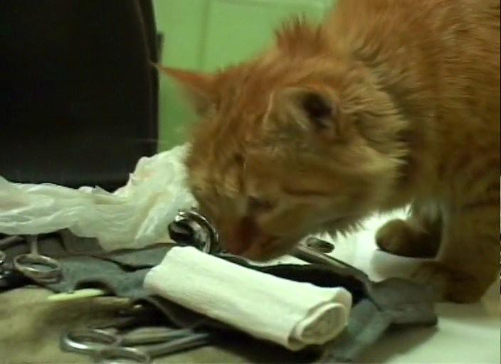 《靖大爷和他的老主顾们》-高清电影-在线观看