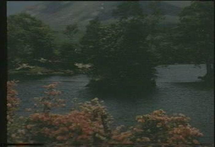 《野蜜桃》-高清电影-在线观看-搜狗影视