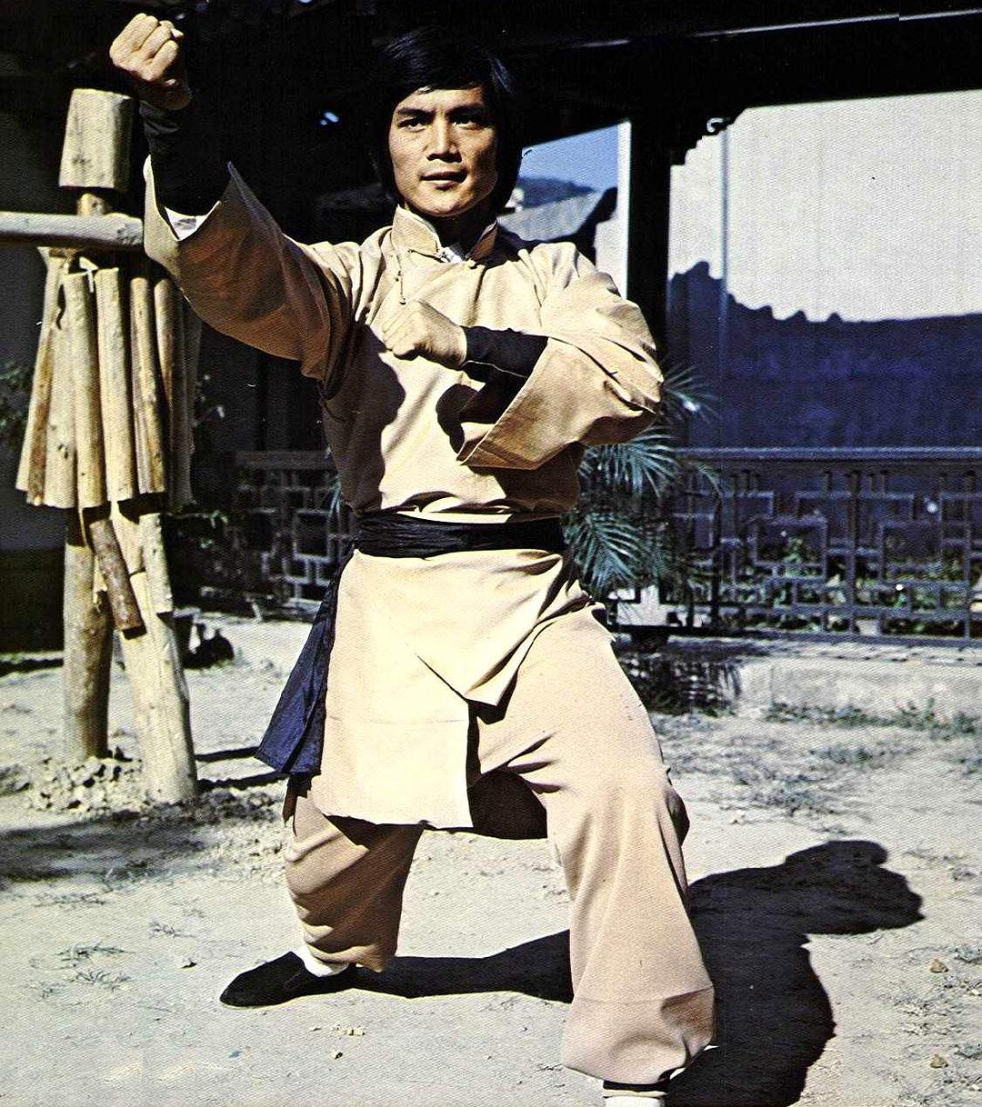 《南拳北腿斗金狐》-高清电影