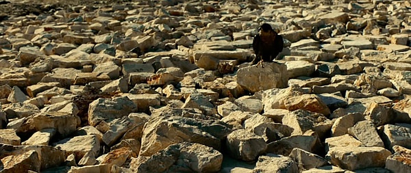 《牛奶配送员的奇幻人生》全集-高清电影完整