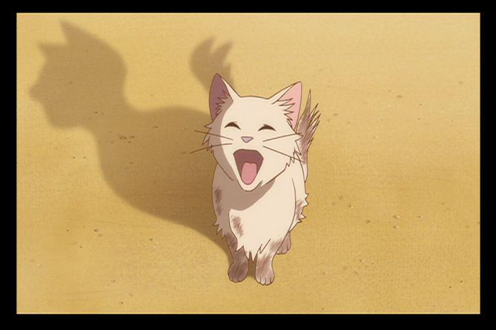 猫之报恩