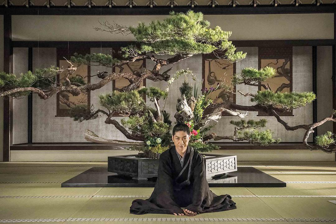 《花战 (2017)》-高清电影