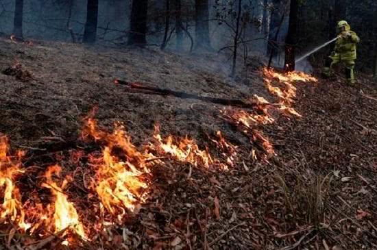 首都宣布进入“紧急状态”局势再度失控！美国终于