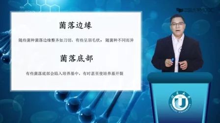 [图]江苏大学微生物检验