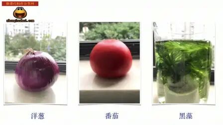 [图]《植物细胞的结构》初中生物微课