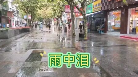 [图]经典歌曲《雨中泪》流行歌曲 流行音乐